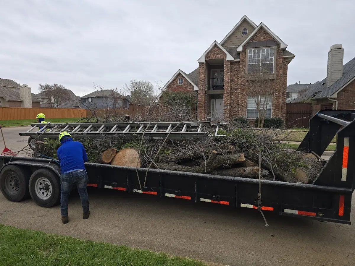 Expert Tree Pest Control with proper safety equipment in Weedsport
